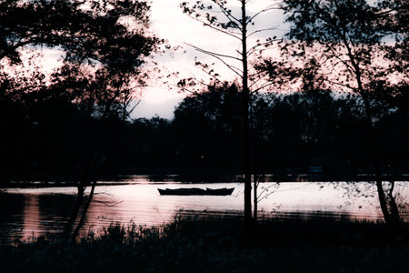a lake bank on a sunny  morningの写真素材