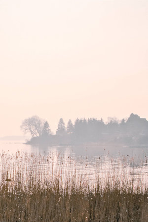 a lake bank on a foggy october morningの写真素材
