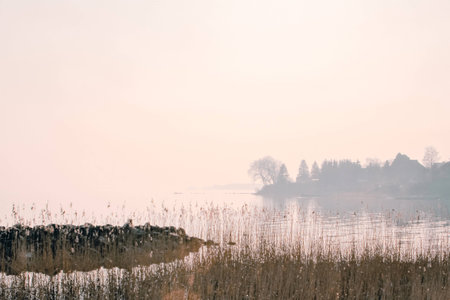 a lake bank on a foggy october morningの写真素材