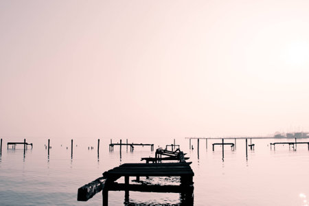 a lake bank on a foggy october morningの写真素材