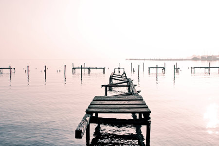 a lake bank on a foggy october morningの写真素材