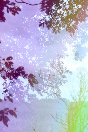 a light game in the summer timeの写真素材