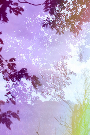 a light game in the summer timeの写真素材