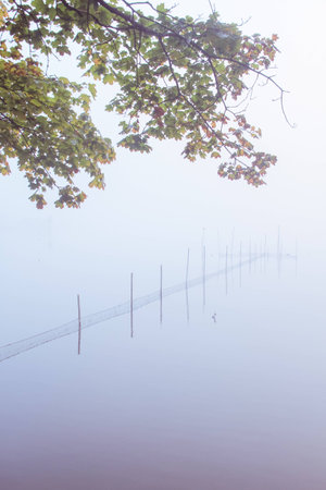 a lake bank on a foggy october morningの写真素材