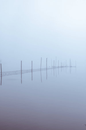 a lake bank on a foggy october morningの写真素材