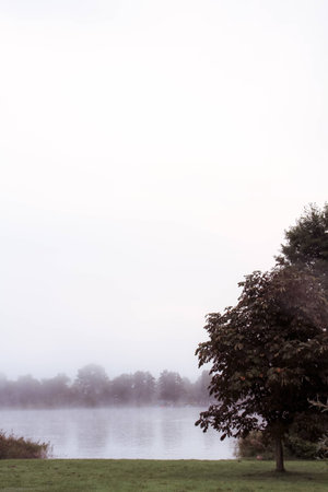 a lake bank on a foggy october morningの写真素材