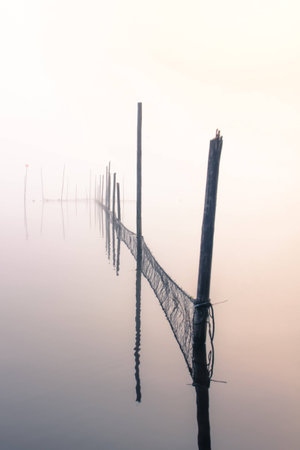 lake bankの写真素材