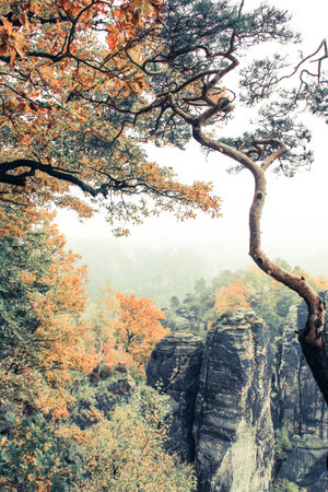 A Foggy Day in the mountainsの写真素材