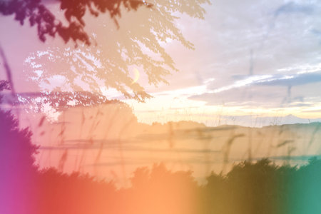 A Light In The Summertime gameの写真素材