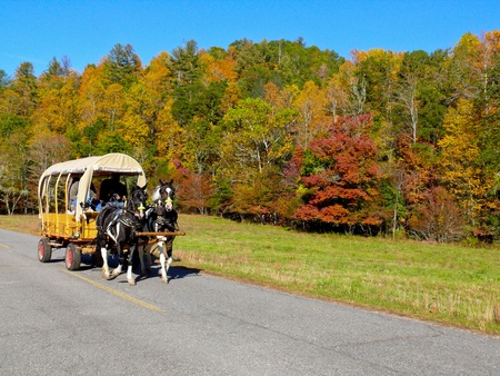 Wagon ride amongst fall foliage, North Carolina