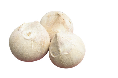 Peeled Coconuts on white の写真素材