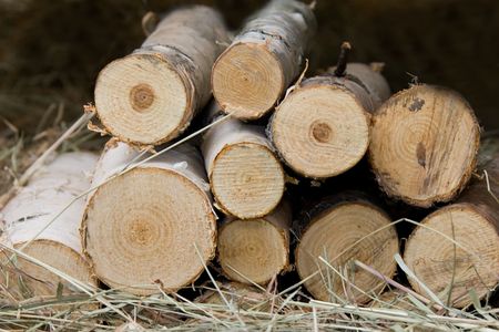 firewoodの写真素材