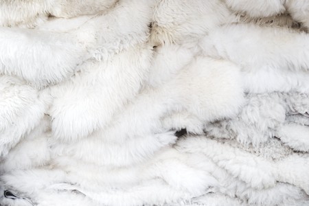 sheep furの写真素材