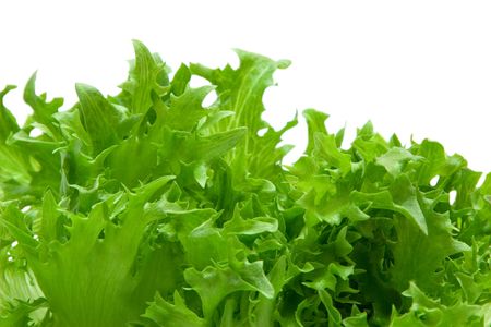 lettuceの写真素材