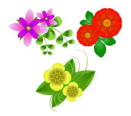 Bright colourful flowers: yellow, lilac, red. Isolated on white background. Transparency and gradient mesh used. EPS 10のイラスト素材