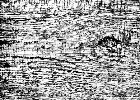 Old wood black and white texture. Vector background imageのイラスト素材