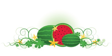 Three delicious, juicy watermelons ready for a summer picnic!のイラスト素材