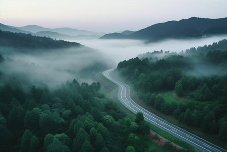 the view from the top of the road in the middle of the forest and green trees with the beauty of the mist. generative aiの素材