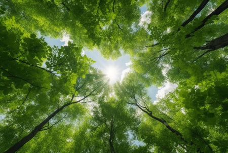 Looking up at the green tops of trees. generative aiの素材