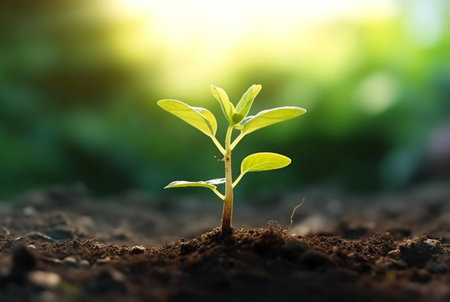 young plant growing in garden with sunlight. generative aiの素材