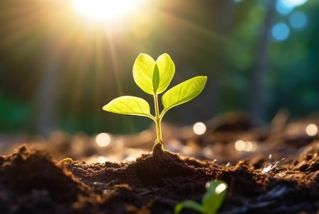 young plant growing in garden with sunlight. generative aiの素材