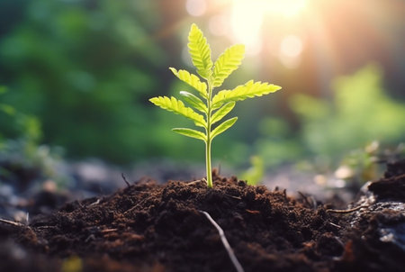 young plant growing in garden with sunlight. generative aiの素材
