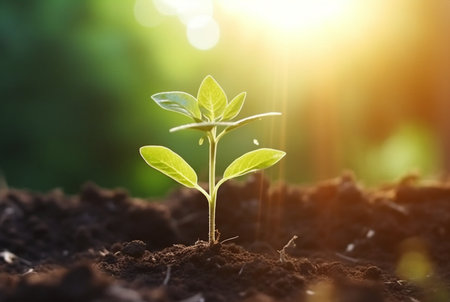 young plant growing in garden with sunlight. generative aiの素材