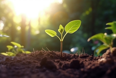 young plant growing in garden with sunlight. generative aiの素材