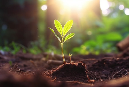 young plant growing in garden with sunlight. generative aiの素材