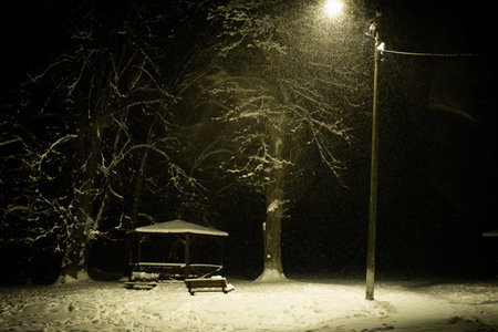 Quiet snowy park illuminated by a green streetlamp at night. Gazebos, benches, and snowy trees evoke a peaceful winter mood.の写真素材