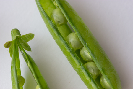 pea with water drops on white background (not isolated)の写真素材