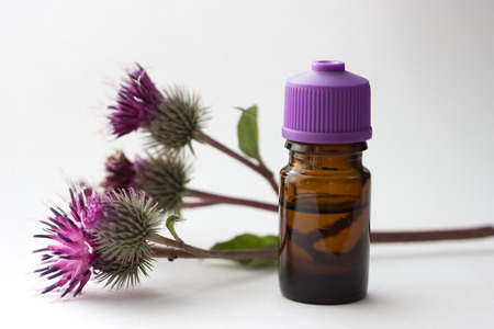 bottle with ?urdock (castor, agrimony) ?il, agrimony branchの写真素材