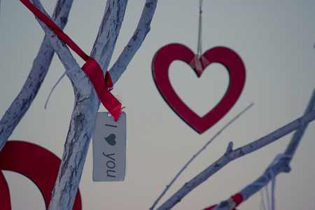 valentine day, heart and valentine card hang on a treeの写真素材