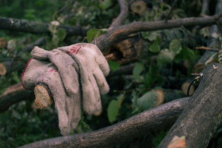 protective gloves hang on the fell tree