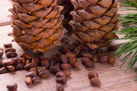 Close up with pine nut cone and brunchesの写真素材
