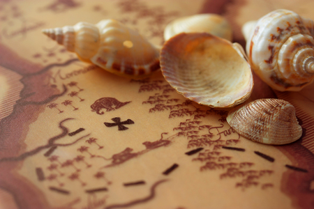 hidden treasure map and shells. pirate lifestyle conceptの写真素材