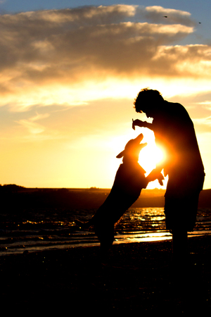 Young man with his dog in nature - back litの写真素材