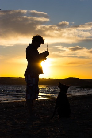 sihouette of dog and host on the beachの写真素材