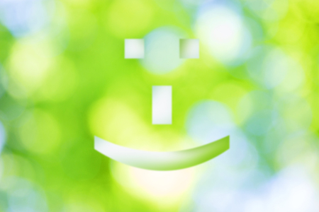 sun shinning through the green tree foliageの写真素材