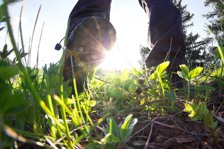 men legs in sneakers on green grass. sport and healthyの写真素材