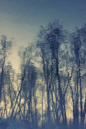 winter landscape lake. reflection of trees in waterの写真素材