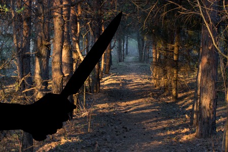 footpath in a mistic forest, blue fogの写真素材