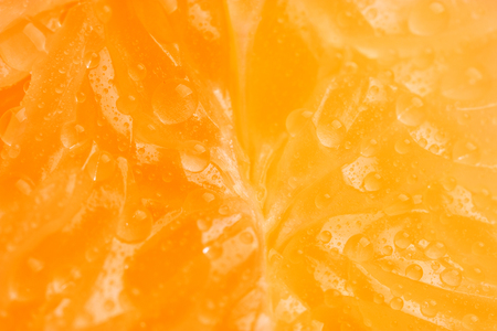 Macro shot of citrus fruits. extreme close upの写真素材