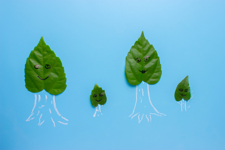 Green cut out paper tree on blue backgroundの写真素材