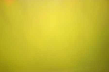 Beautiful blurred green background leafs of trees with sunlightの写真素材