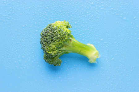 Raw and fresh healthy broccoli cabbage on blue backgroundの写真素材