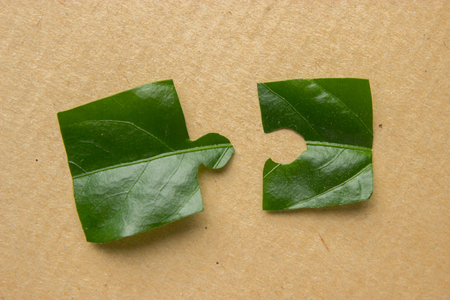 eco puzzle concept. eco problems solution conceptの写真素材