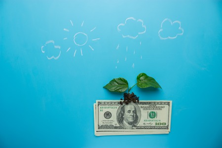 money growing concept. money and green sprout on blue backgroundの写真素材