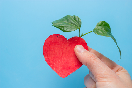Harmony living environment, ecological friendly concept with red heart and green leafの写真素材