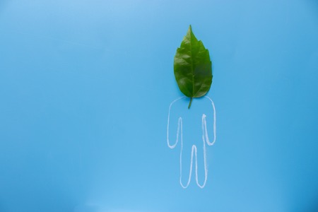 eco green concept. person with leaf asの写真素材